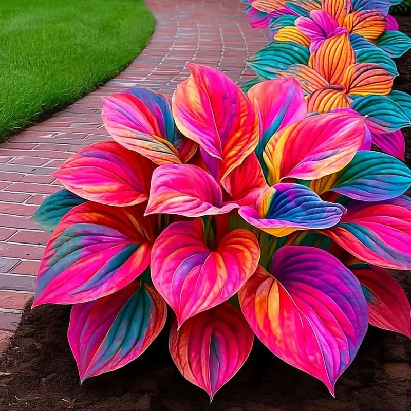 /69ad347042d1d80008a95438/2026/04/14/product-img-69ddedf9f707c0639afa486a.png